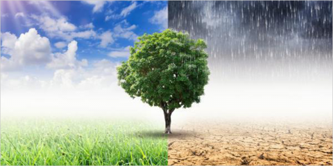 El BEI publica los resultados de la tercera edición de la encuesta sobre el clima 2020-2021