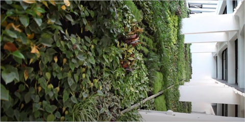 Inaugurado el nuevo centro cívico de Santander, un ECCN con jardín vertical interior de 600 m2