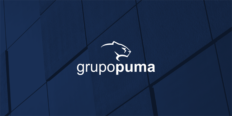 Cat logo General De Grupo Puma CONSTRUIBLE Cat logo General De Grupo Puma CONSTRUIBLE