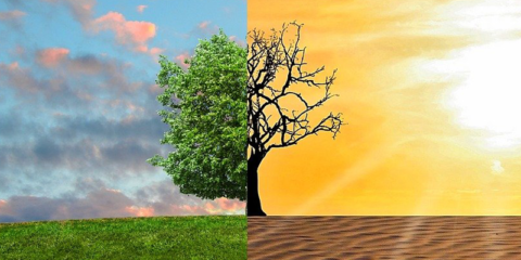 El Congreso da luz verde al proyecto de Ley de Cambio Climático y Transición Energética