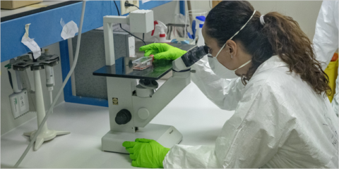 Un estudio demuestra que el vidrio Planibel Easy de AGC reduce el riesgo de contagio por coronavirus