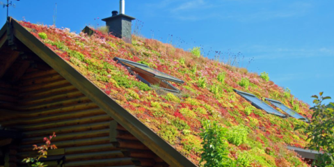 Láminas de drenaje de BMI de altas prestaciones para la instalación de cubiertas vegetales