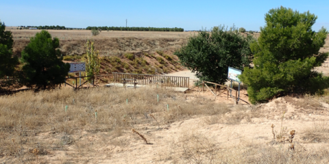 Restauración ambiental de una cantera de LafargeHolcim en Toledo para potenciar la biodiversidad