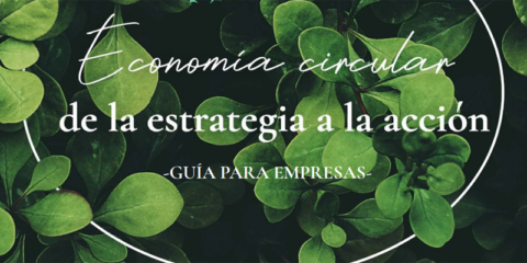 La Asociación WAS publica una guía para ayudar a las empresas a implementar la economía circular