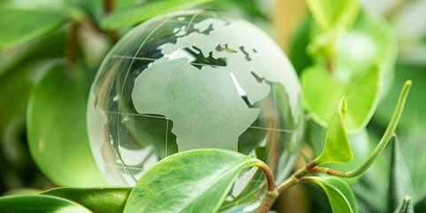 La Cámara de Comercio de España lanza ayudas para mejorar la sostenibilidad de las pymes