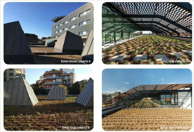 Las diez nuevas cubiertas verdes que harán de Barcelona una ciudad más