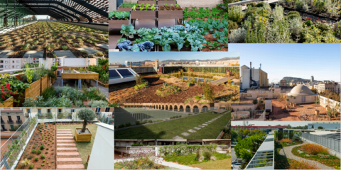 Las diez nuevas cubiertas verdes que harán de Barcelona una ciudad más resiliente, saludable y sostenible