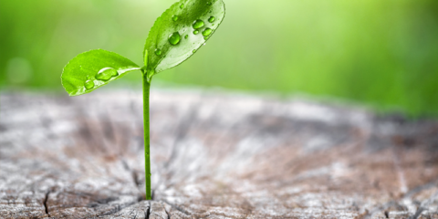 AGC publica los hitos alcanzados en gestión de residuos, agua, reciclaje y reducción de la contaminación