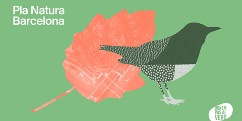 El Pla Natura 2021-2030 aumentará las zonas verdes y la biodiversidad de la ciudad de Barcelona