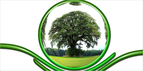 La Convocatoria del Pacto Verde Europeo selecciona 72 proyectos de investigación e innovación