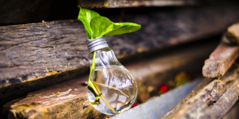 Programa de ayudas para proyectos de ecodiseño, economía circular y ecoinnovación en la industria vasca