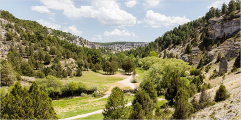 Aprobado el reparto de más de 511 millones del Plan de Recuperación para biodiversidad y medioambiente