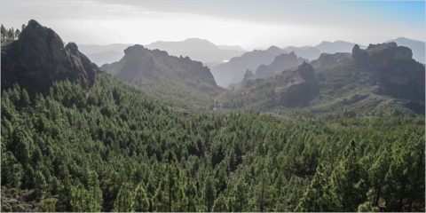 Gran Canaria saca a licitación un proyecto para desarrollar un modelo de economía circular en la isla