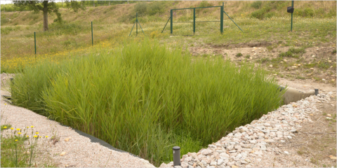 El proyecto LIFE Green Adapt busca aumentar la resiliencia del sector de los residuos al cambio climático