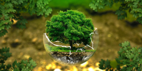 Aprobado el Real Decreto que regula el Fondo de Restauración Ecológica y Resiliencia con 198 millones