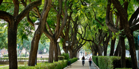 El Ayuntamiento de Huelva impulsa el primer Plan Municipal de Adaptación al Cambio Climático