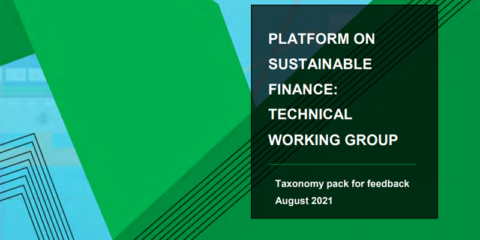El borrador de informe sobre criterios técnicos de selección para la taxonomía se abre a comentarios