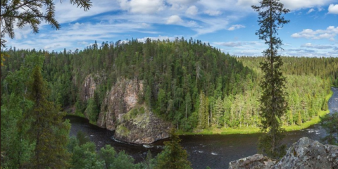 Lunawood se une al Pacto Mundial de Naciones Unidas, la iniciativa de sostenibilidad corporativa de la ONU