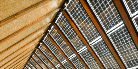 AGC centra su investigación en la sostenibilidad para alcanzar la neutralidad de carbono en 2050