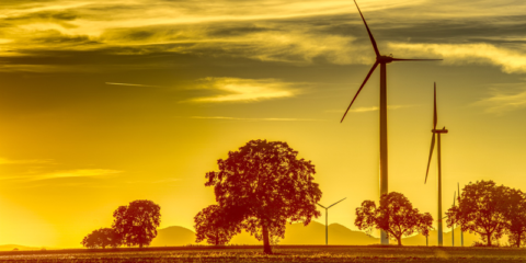 Aprobado el proyecto de Ley Foral de Cambio Climático y Transición Energética de Navarra