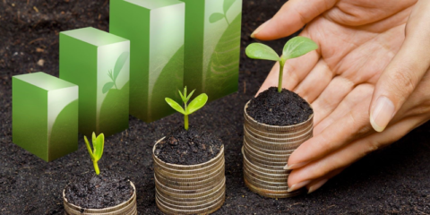 Cerca de 3,5 millones en ayudas para acciones locales que fomenten el desarrollo sostenible en Euskadi