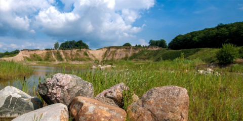 Quinta edición del concurso Quarry Life Award para promover la biodiversidad en las canteras