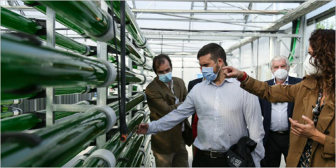 La integración de microalgas en la arquitectura del edificio de ESMASA en Alcorcón permitirá reciclar el aire