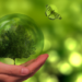 El Miteco lanza nuevas líneas de ayudas en materia de biodiversidad y renaturalización urbana