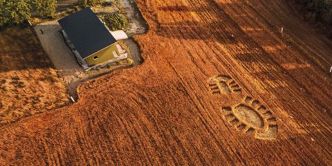 Un nuevo servicio en la aplicación de BBVA ayuda a calcular la huella de carbono de sus clientes