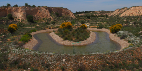 Un informe de la ONU pone en valor la restauración ecológica de una cantera de LafargeHolcim en Toledo