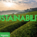 Schneider Electric, reconocida por su sostenibilidad en la lista 'Change the World 2021'