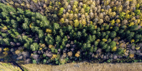La Comisión Europea propone nuevas medidas en materia de residuos, deforestación y suelo