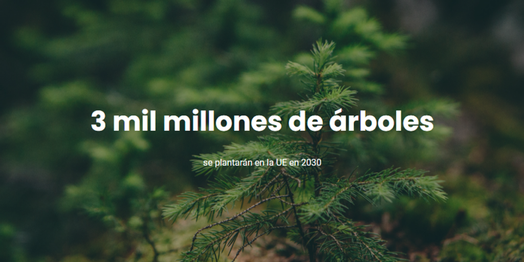 Plantar 3.000 millones de árboles hasta 2030, objetivo prioritario de la Unión Europea