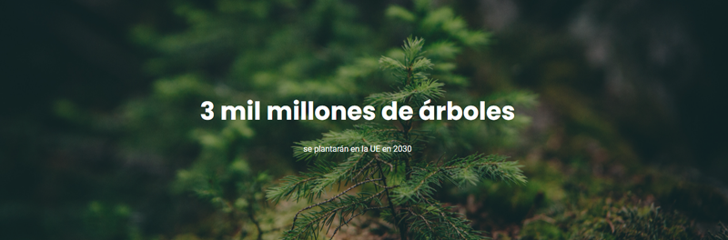 Plantar 3.000 millones de árboles hasta 2030, objetivo prioritario de la Unión Europea