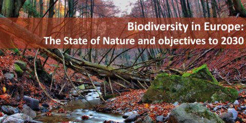 La CE presenta dos nuevas herramientas para monitorizar los avances en materia de biodiversidad