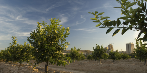 Cemex recibe la máxima calificación de CDP por sus acciones para frenar el cambio climático