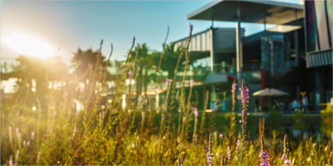 El shopping resort Puerto Venecia recibe la doble calificación Excelente de la certificación BREEAM En Uso