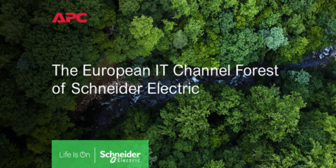 Schneider Electric planta 7.500 árboles en Europa para compensar la emisión de carbono