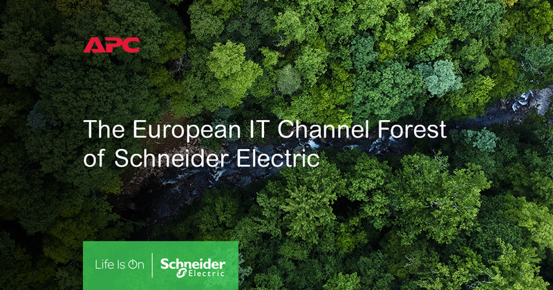 Schneider Electric planta 7.500 árboles en Europa