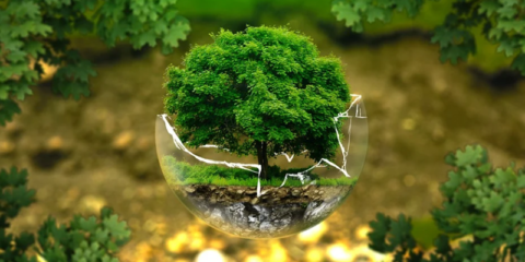 En vigor las directrices europeas sobre ayudas estatales para el clima, medio ambiente y energía