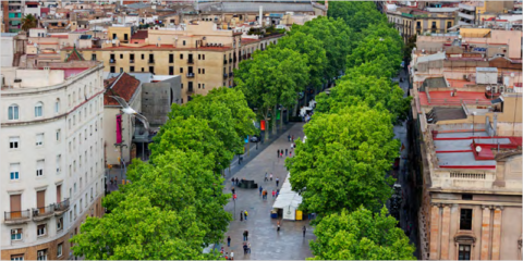 Tecnalia evalúa el uso del Estándar Global para SBN en 18 ciudades mediterráneas