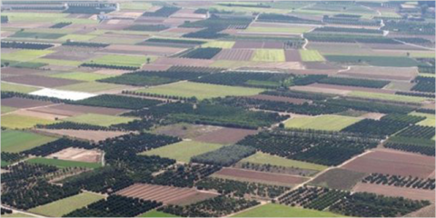 Abierta la convocatoria de ayudas para proyectos contra el cambio climático en municipios valencianos