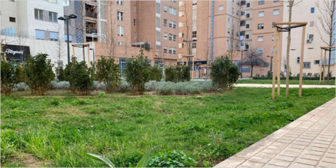 Impulso a los SUDS como medida de adaptación al cambio climático en la regeneración urbana