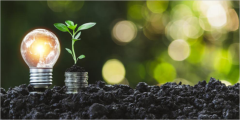 Encuesta para conocer los desafíos en el acceso a la financiación de la UE para proyectos ambientales