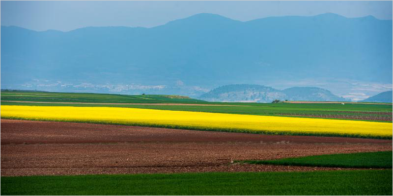 Encuesta en La Rioja para recoger aportaciones al nuevo Plan Regional de Adaptación al Cambio Climático