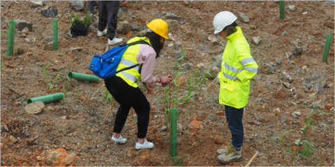 La restauración de la cantera de Cemex en Can Xumeu, ejemplo de buena práctica