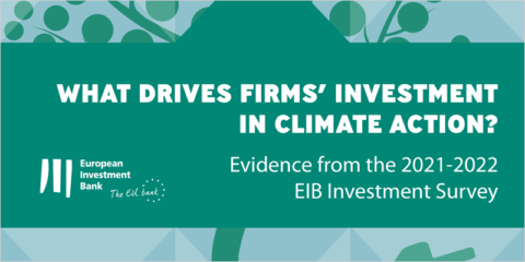 La última encuesta del BEI refleja la preocupación de las empresas europeas sobre el cambio climático