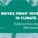La última encuesta del BEI refleja la preocupación de las empresas europeas sobre el cambio climático