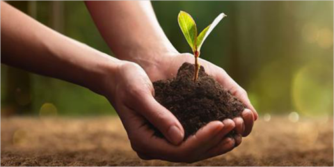 Los municipios de transición justa pueden pedir ayudas para proyectos ambientales, sociales y digitales