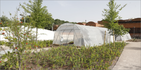 El proyecto ‘Barrios Productores’ de Madrid ayudará a mitigar el cambio climático en la ciudad